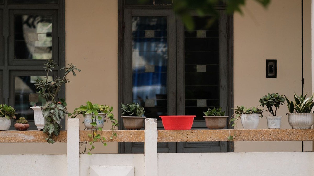 Real potted plants arranged along a balcony railing, showing why exposed containers need low, stable placement
