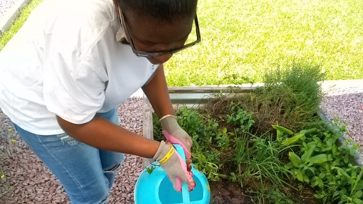 Real watering scene with a turquoise watering can in a community garden
