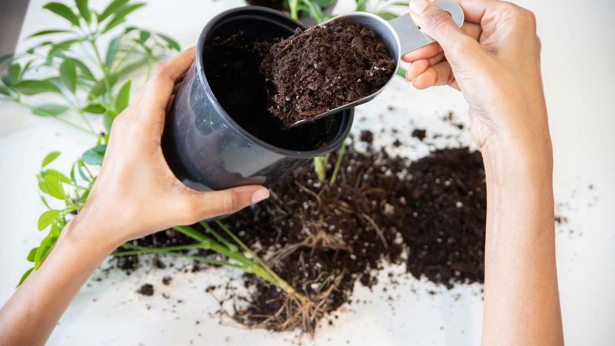 Real hands scooping potting mix into a houseplant pot beside a pile of soil