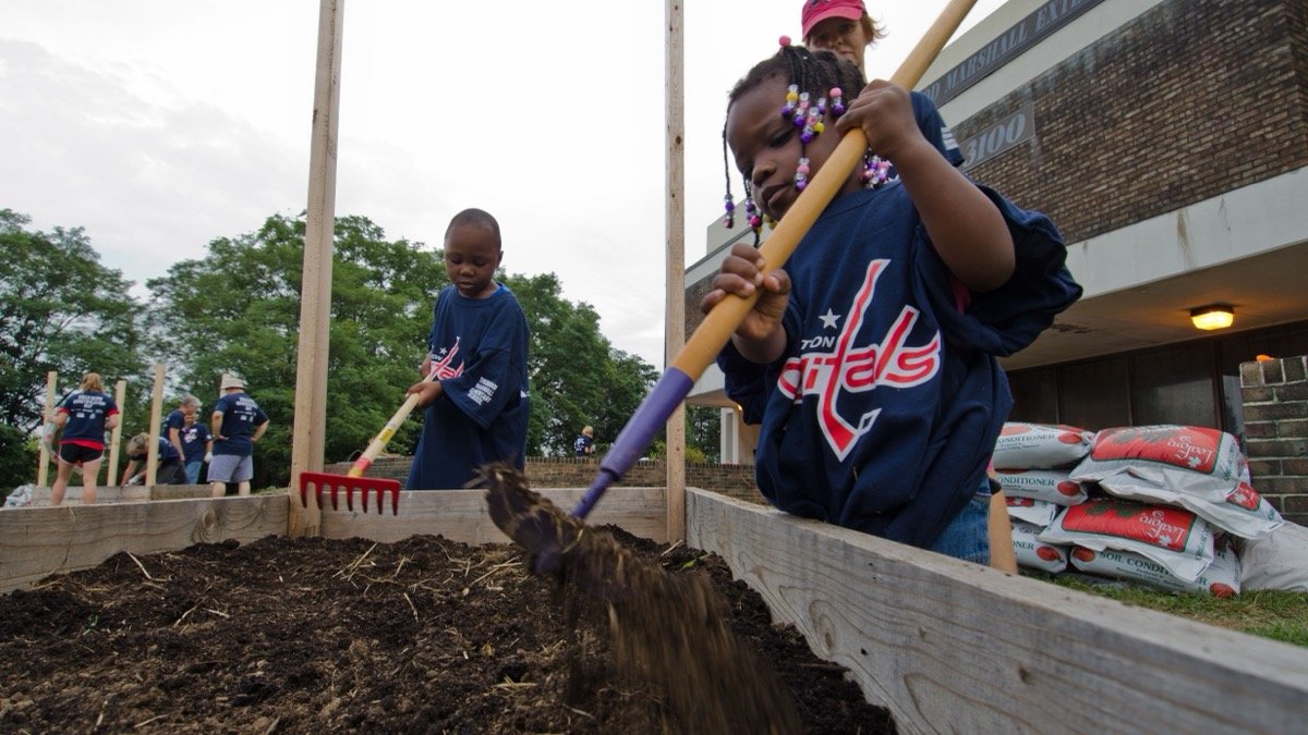 Real gardeners mixing soil in a raised planter box
