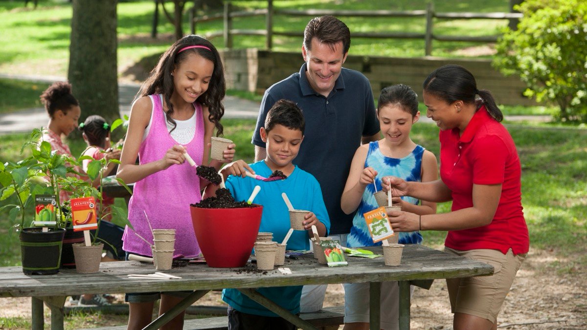 A real outdoor container planting activity with vegetable seedlings and seed packets