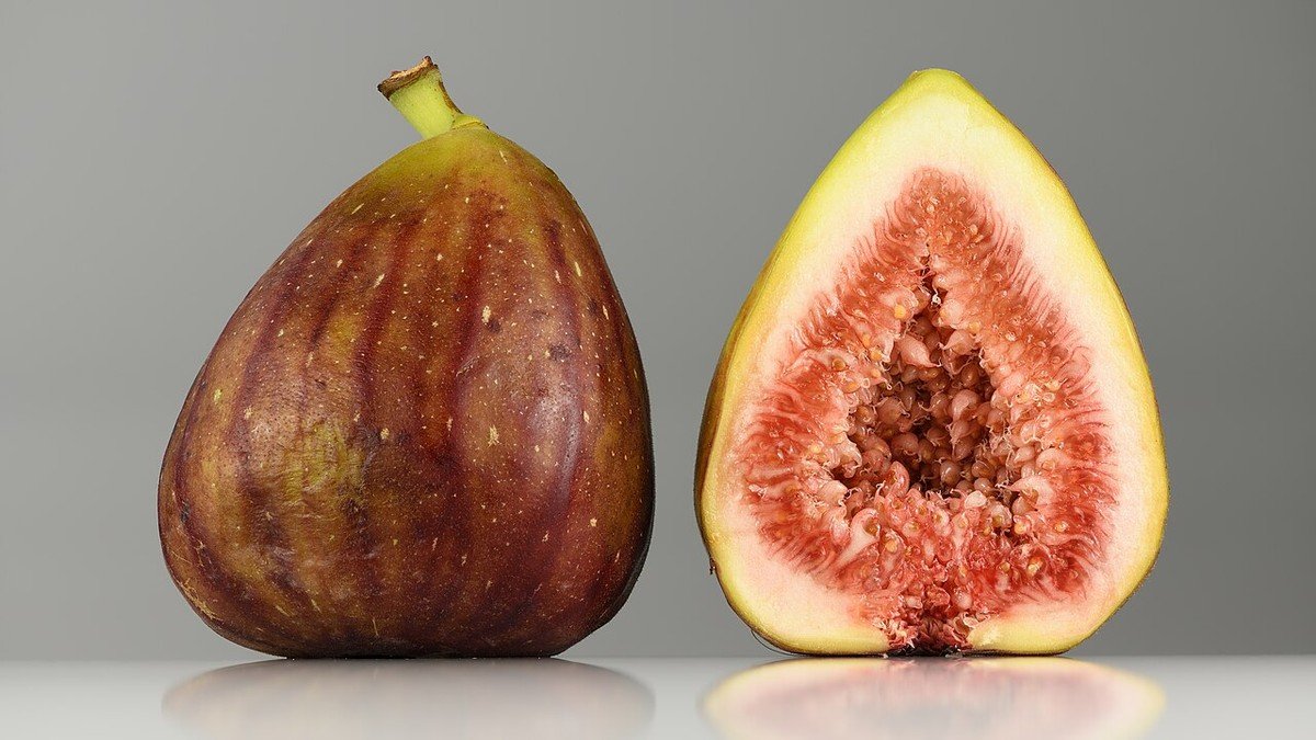 Real ripe fig shown whole and cut open to reveal the mature fruit used to illustrate container fig harvest