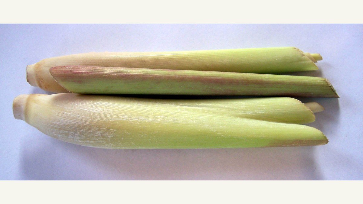 Real prepared lemongrass stalk bases showing the thick pale edible section