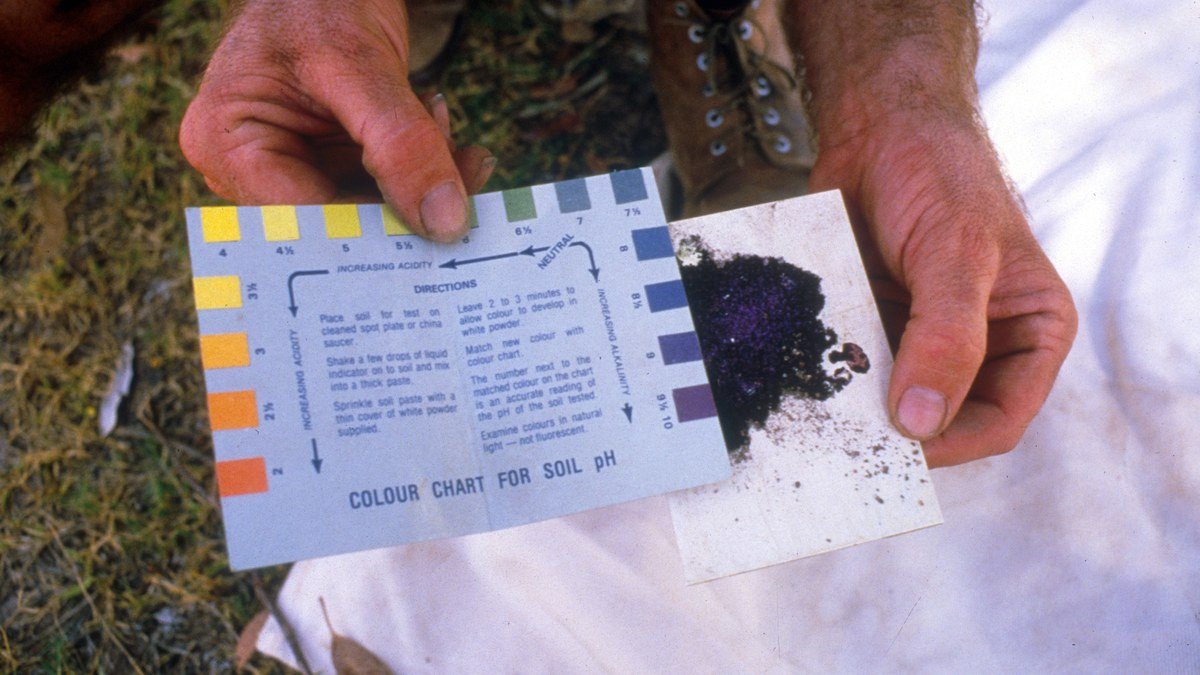 Hands compare a soil sample with a pH colour chart