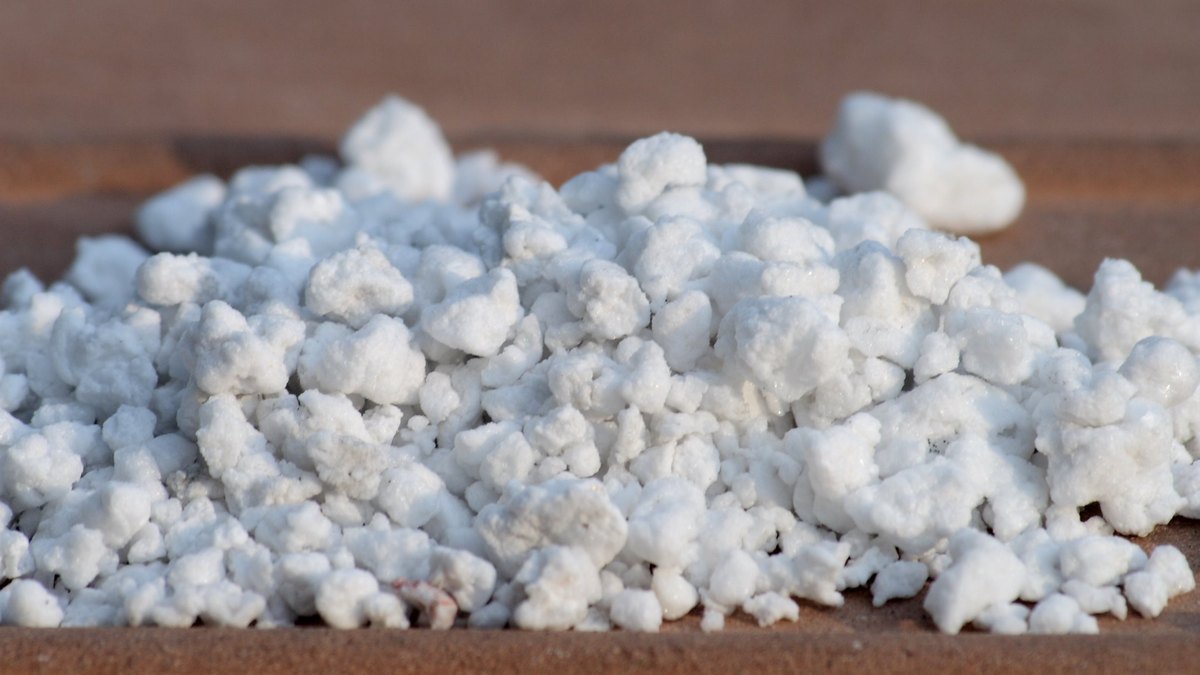 Real horticultural perlite granules used as a potting mix amendment