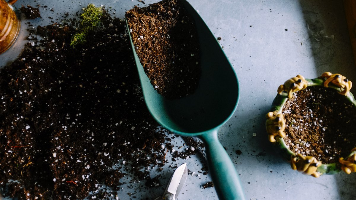 A real trowel with potting soil and perlite beside loose mix