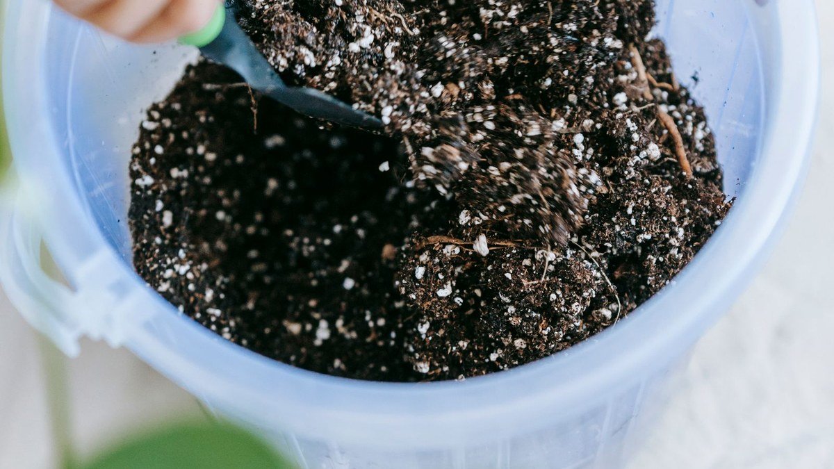 Real hands mixing a potting medium with visible white perlite in a container
