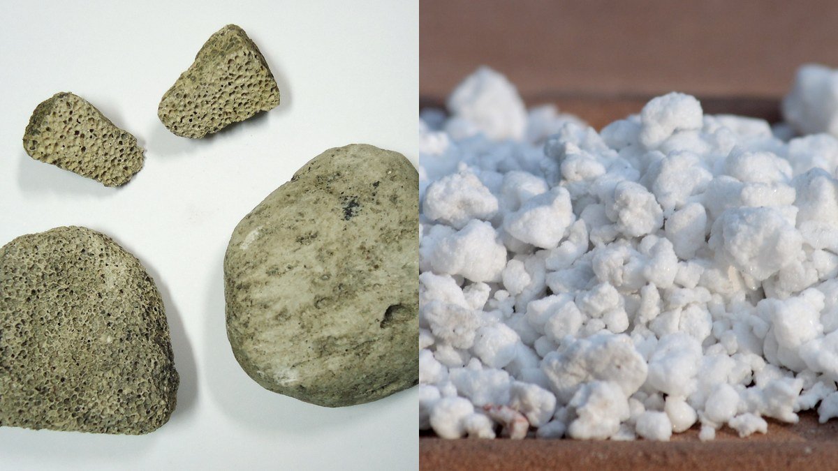 Real pumice stones and expanded perlite shown side by side